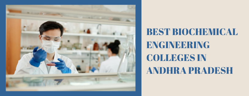 Best Bio-Chemical Engineering Colleges in Andhra Pradesh